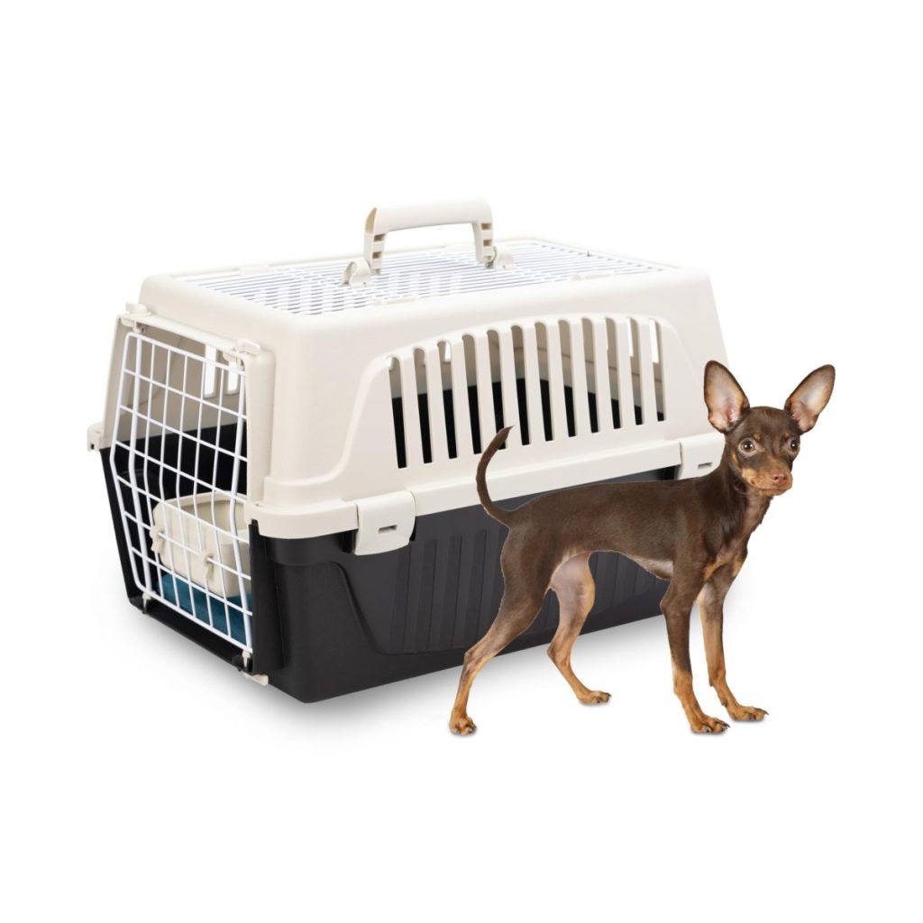 Caisse de transport chat Ferplast Panier 48