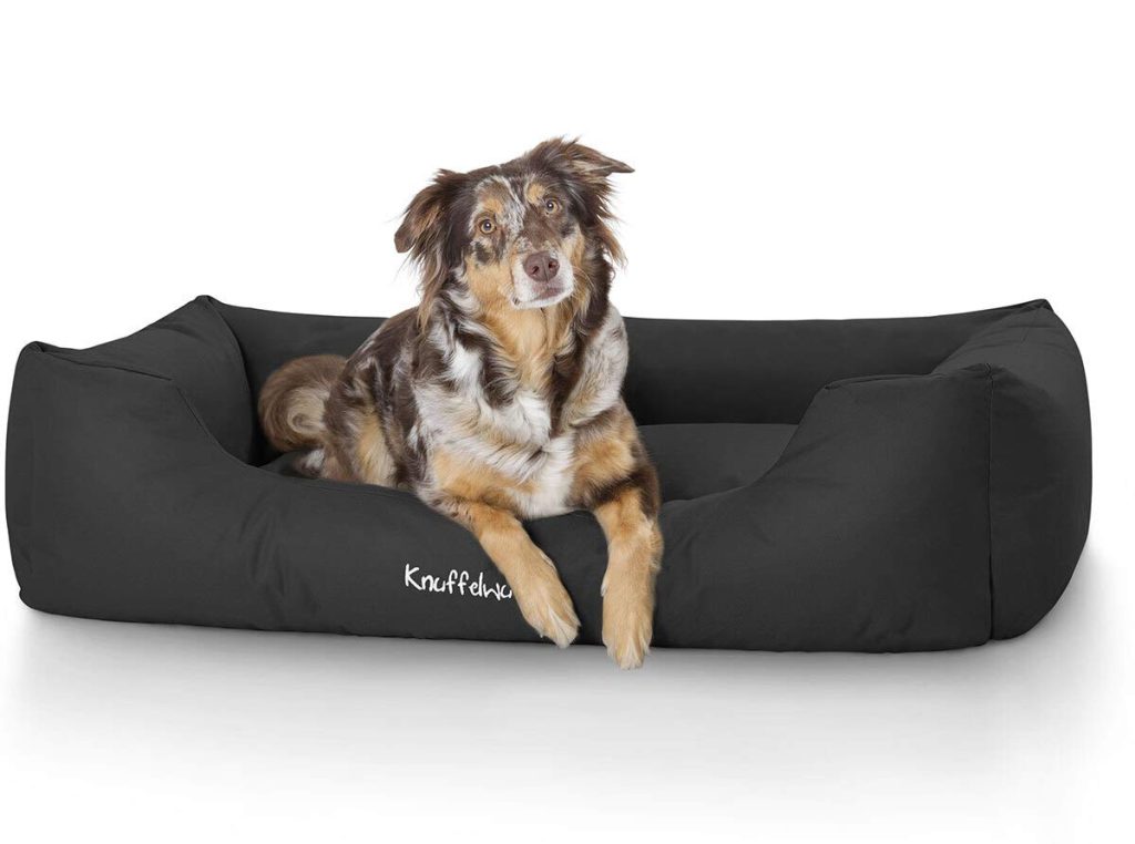 Canapé chien Knuffelwuff Finlay
