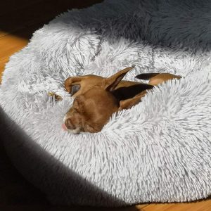 Coussin anti-stress chien Panier rond chaud et apaisant d’hiver pour chien, chiot, avec coussin en fausse fourrure, lavable 70 cm gris