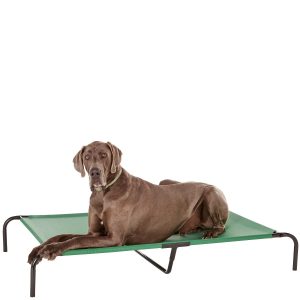 Lit surélevé / de camp chien Amazon Basics XL rafraîchissant