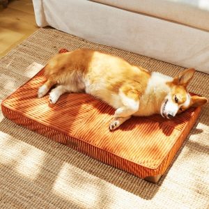 Panier chien orthopédique FUKUMARU L