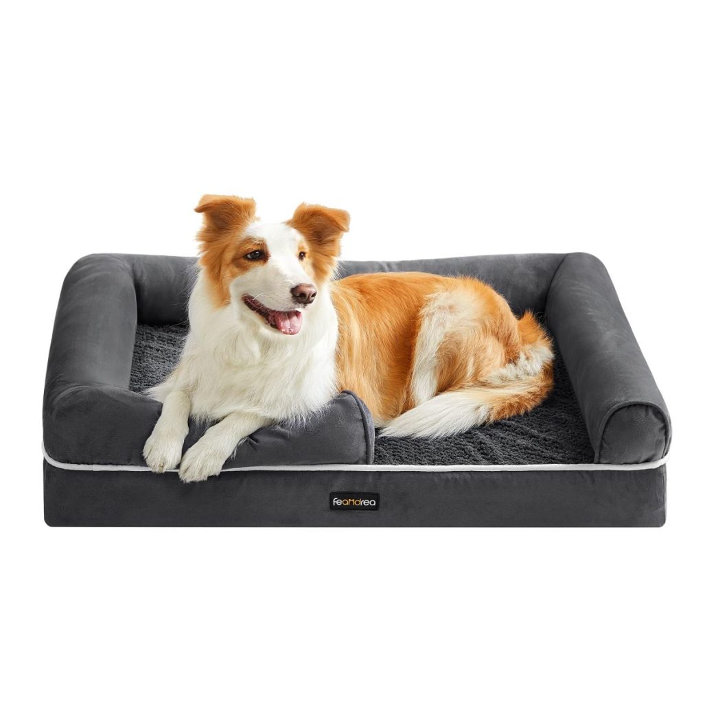Panier mémoire de forme chien Feandrea PGW076G01V1