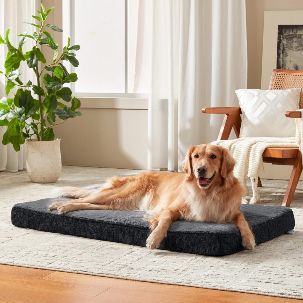 Panier orthopédique chien JOEJOY XL Gris